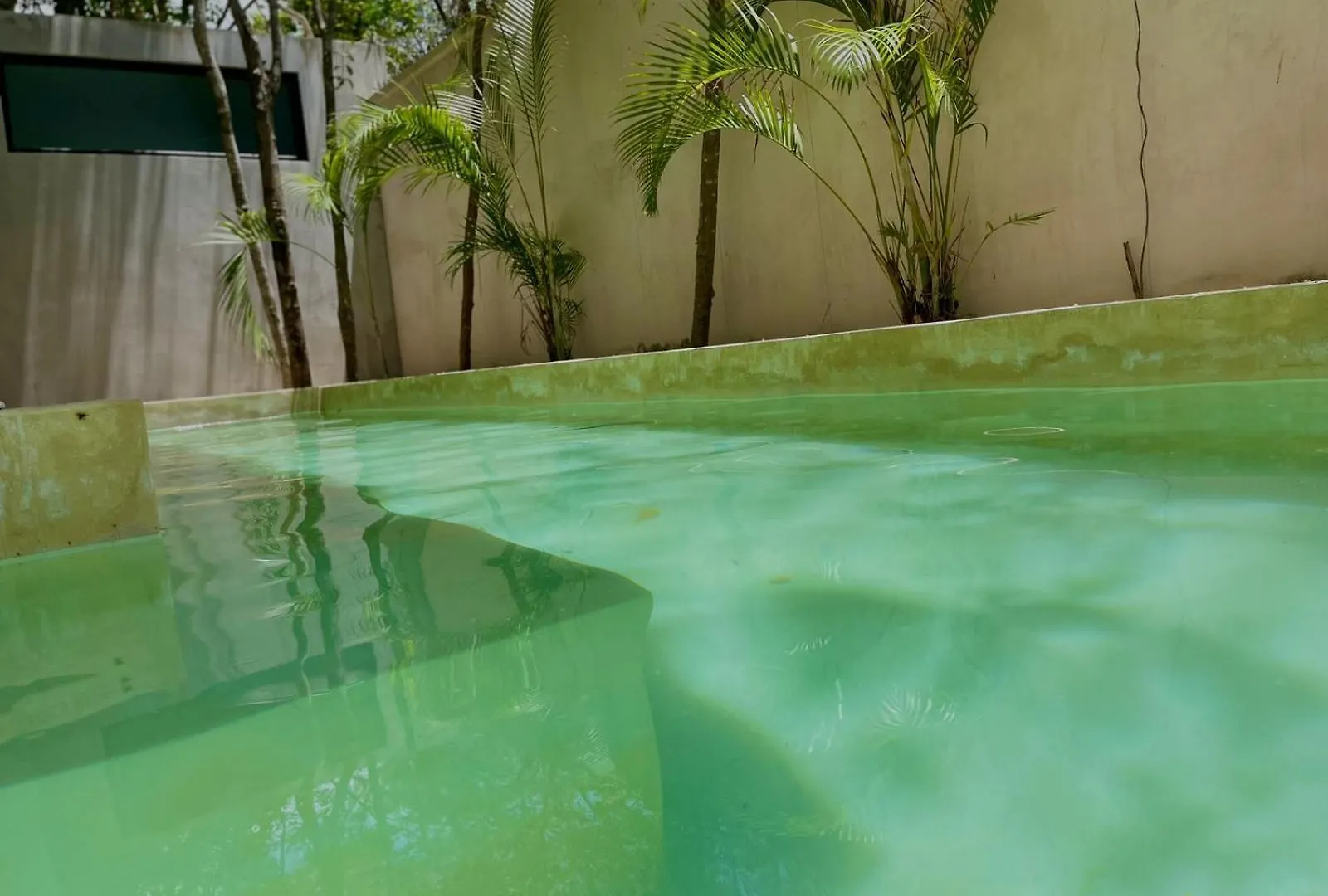 Refugio Armonia Con Piscina Privada - Harmony Retreat With Private Pool Apartment Tulum