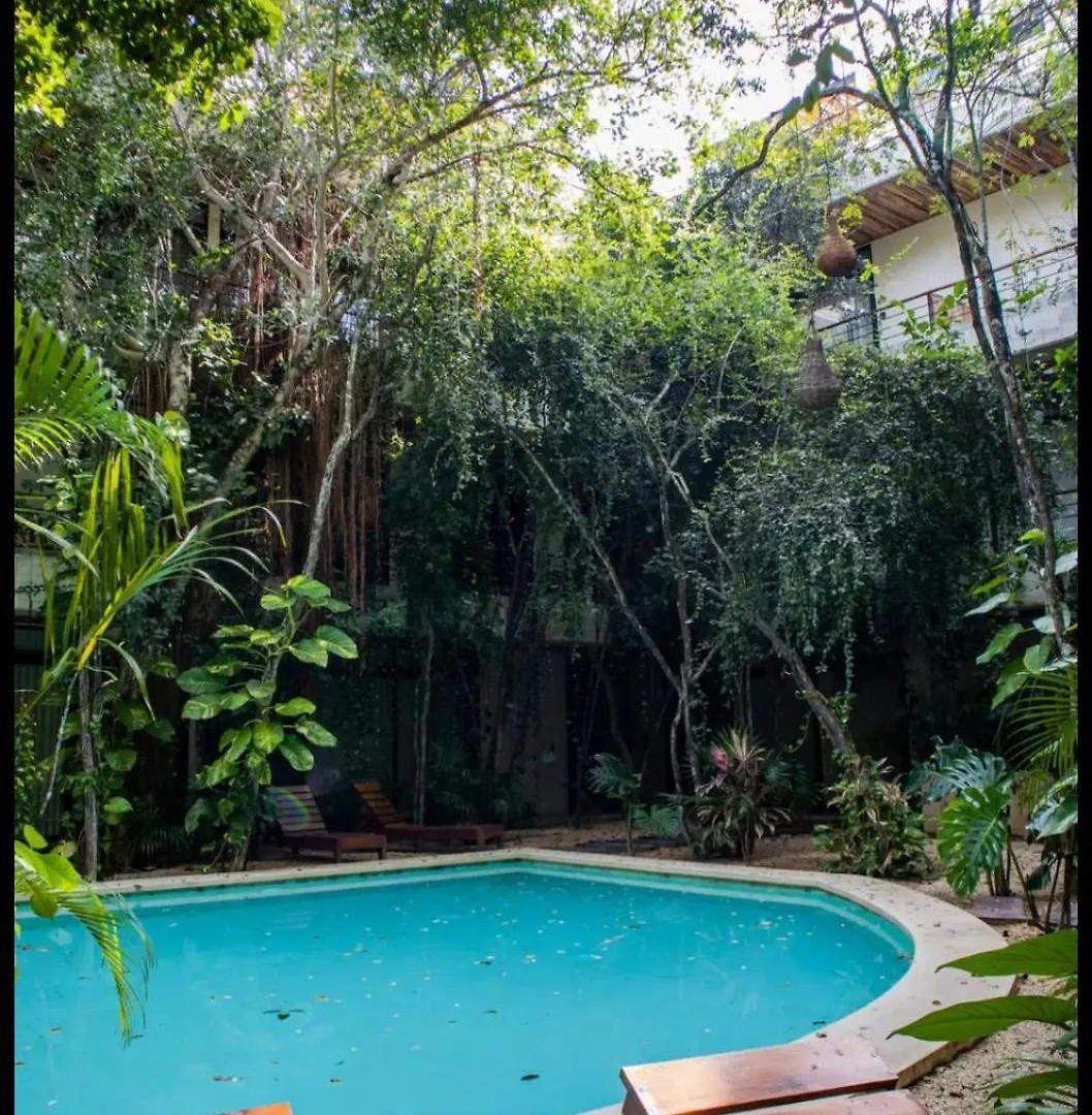 Refugio Armonia Con Piscina Privada - Harmony Retreat With Private Pool Apartment Tulum