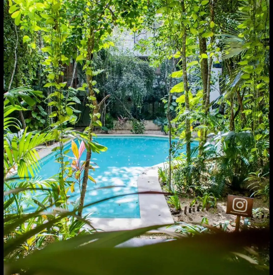 Refugio Armonia Con Piscina Privada - Harmony Retreat With Private Pool Apartment Tulum